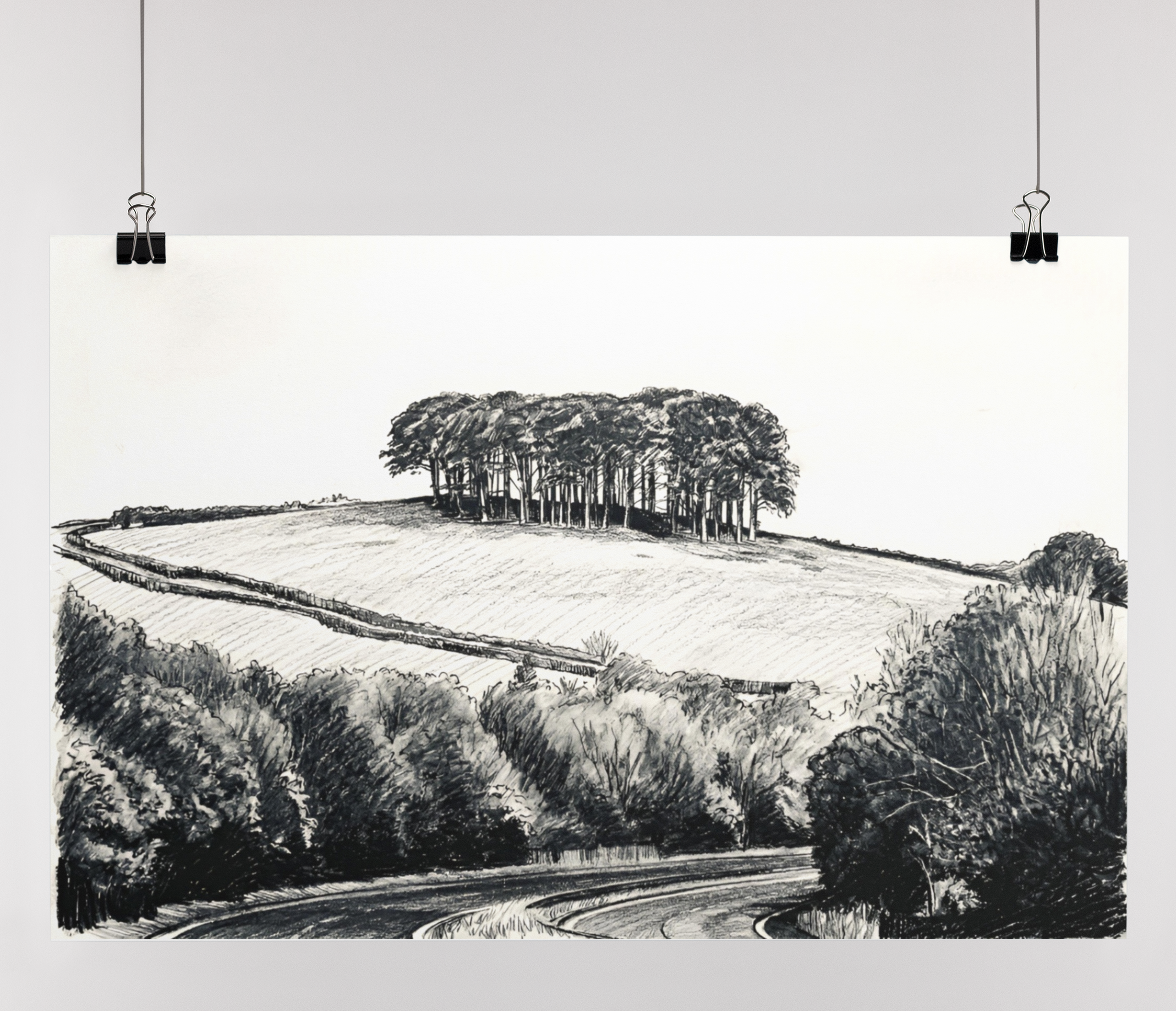 Cornwall Art Prints & Canvas collection — Nearly There Trees fine art print, Cookworthy Knapp A30, Surf Shack Designs