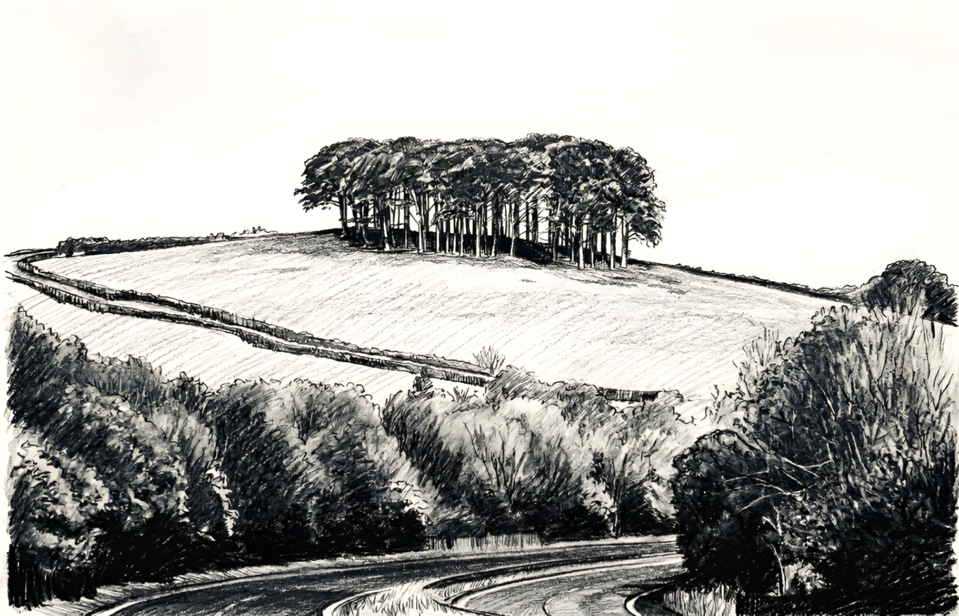 Nearly There Trees Cookworthy Knapp unframed fine art print on white – A30 Cornwall black and white landscape giclée