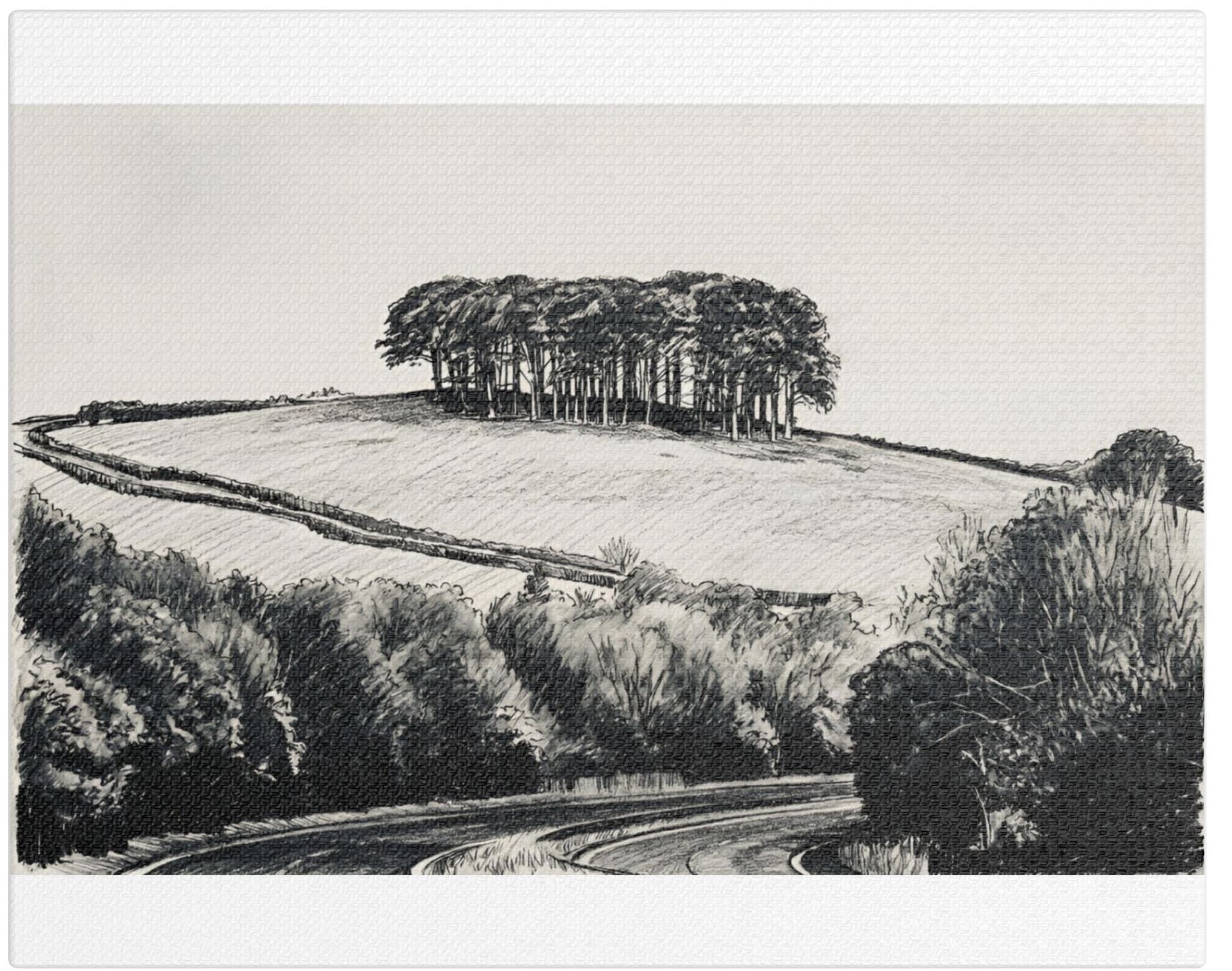 Nearly There Trees stretched canvas print – A30 Cookworthy Knapp Cornwall monochrome wall art